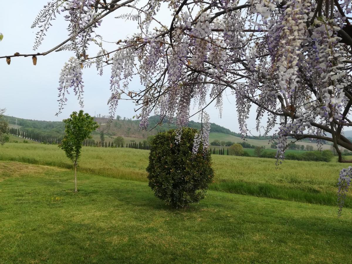 La Locanda Dell'Olmo Orvieto Exteriér fotografie
